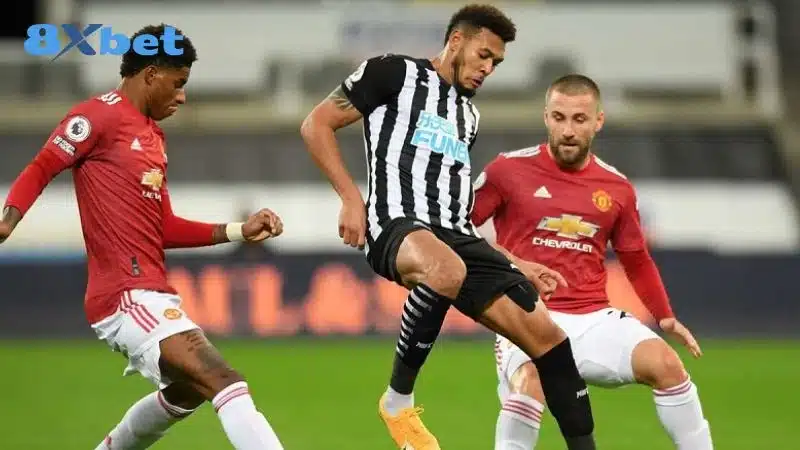 soi kèo Manchester United vs Newcastle United Soi kèo Manchester United vs Newcastle United về kèo tài xỉu